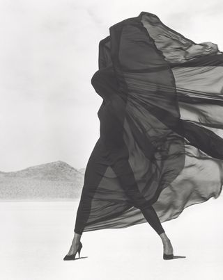 photo Herb Ritts